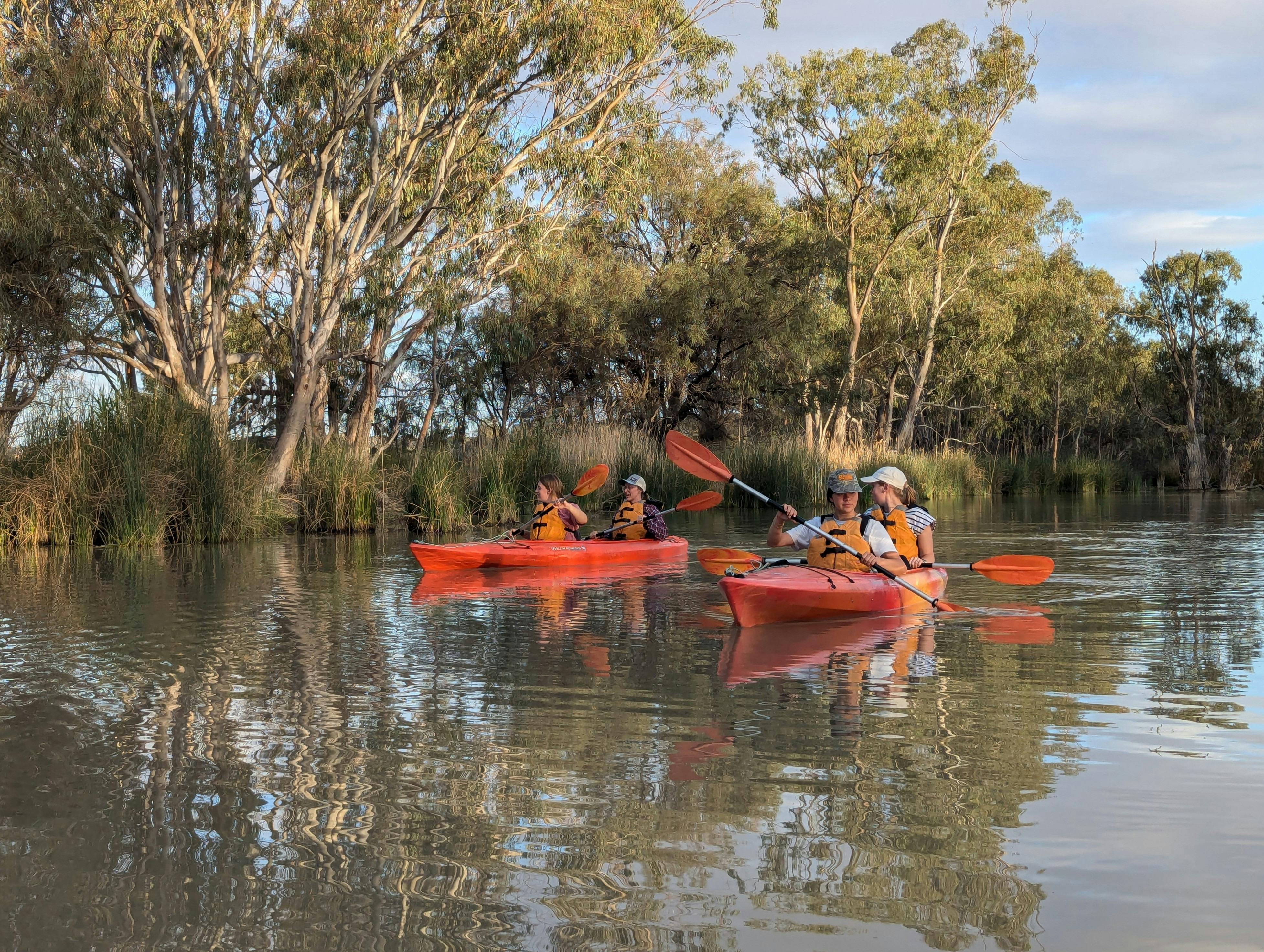 Friends in 2 double kayaks paddle along a tree lined riverbank.
