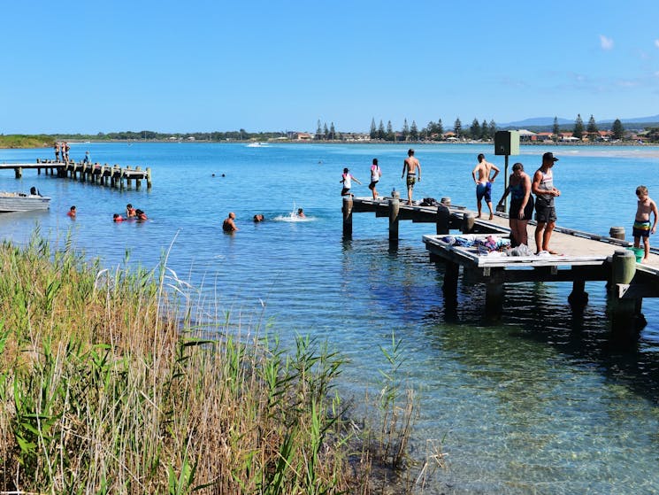 Swimming in Lake Illawarra