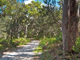 Red Gum trail