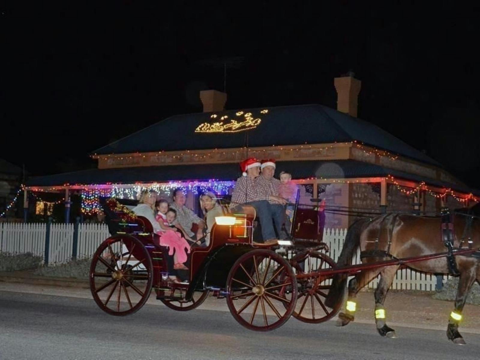 Horse Drawn Christmas Light Tour
