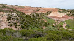 Hallett Cove Conservation Park