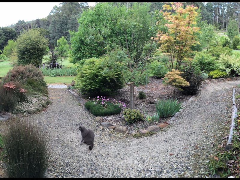 Blooming Tasmania Flower and Garden Festival Discover Tasmania