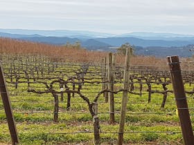 High country vineyards @ Mt Bellevue