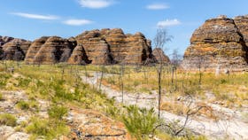 Purnululu (Bungle Bungle) National Park, Kununurra, Western Australia