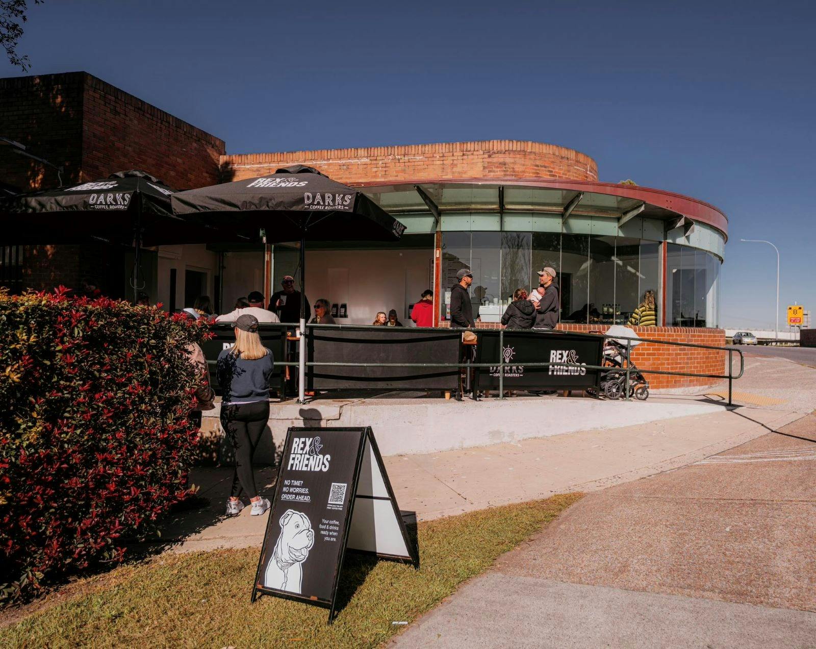 雷克斯和朋友们