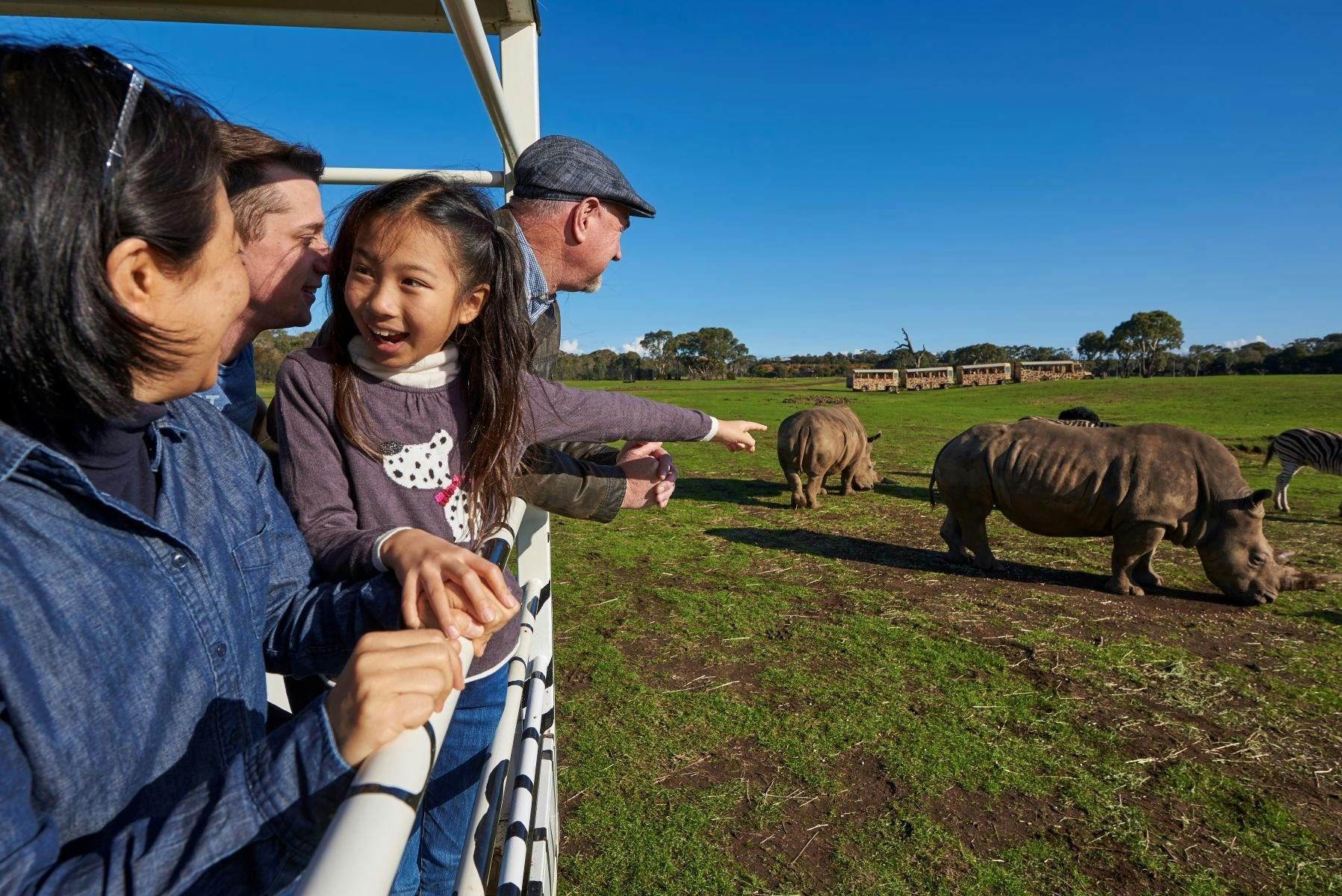 Visitors in a safari bus at Werribee Zoo seeing rhinoceroses