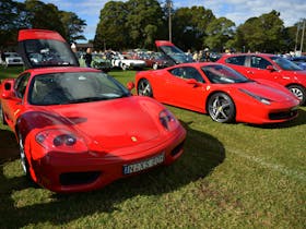A line up of red cars