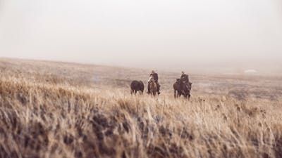 'The Crossing' By Jerusha McDowell