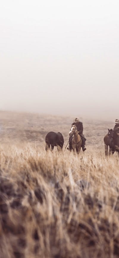 'The Crossing' By Jerusha McDowell