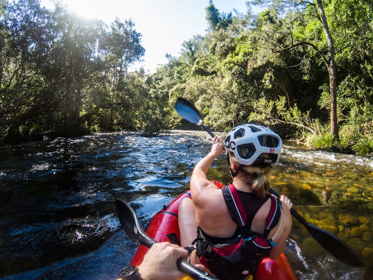 Barrington River adventure woman paddling