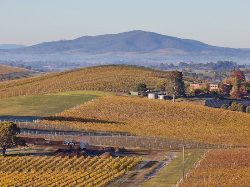 Image for Yoga and Winery Walkaround
