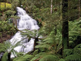 Great Otway National Park
