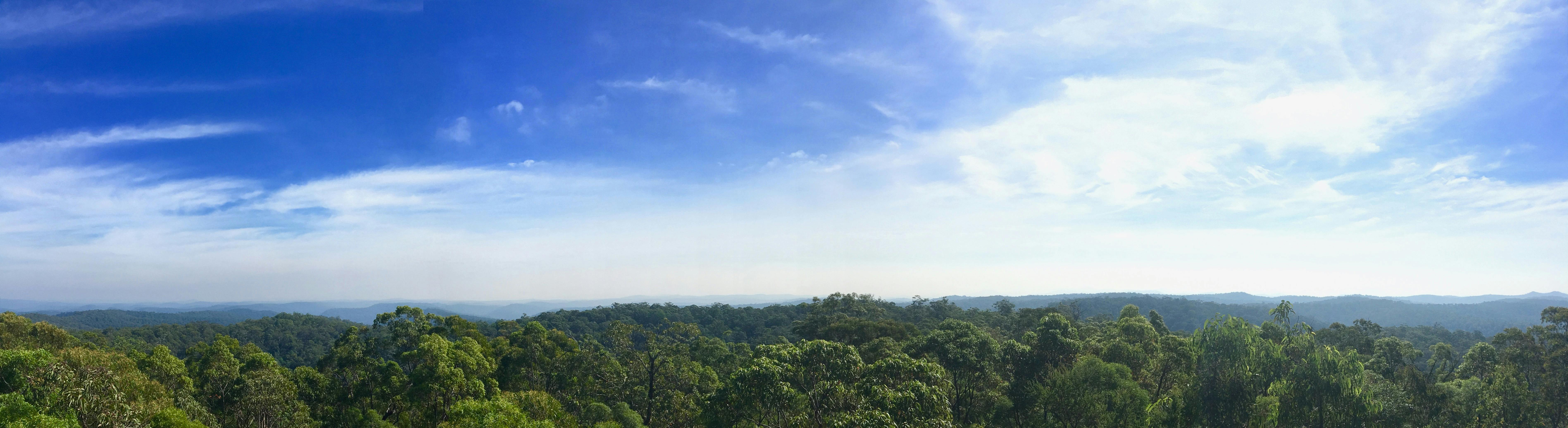 Bulgandry Aboriginal Area and  Staples Lookout