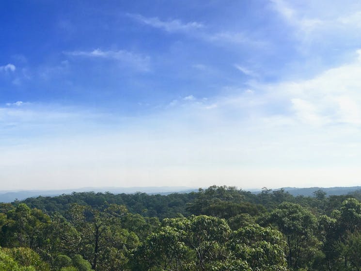 Yengo National Park from Finchley Trig Lookout