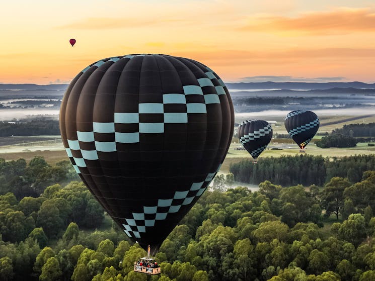 3 Balloons drifting over the Hunter Valley