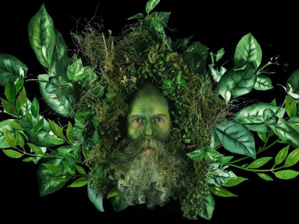 Allison Moore: Fresque Grotesque
