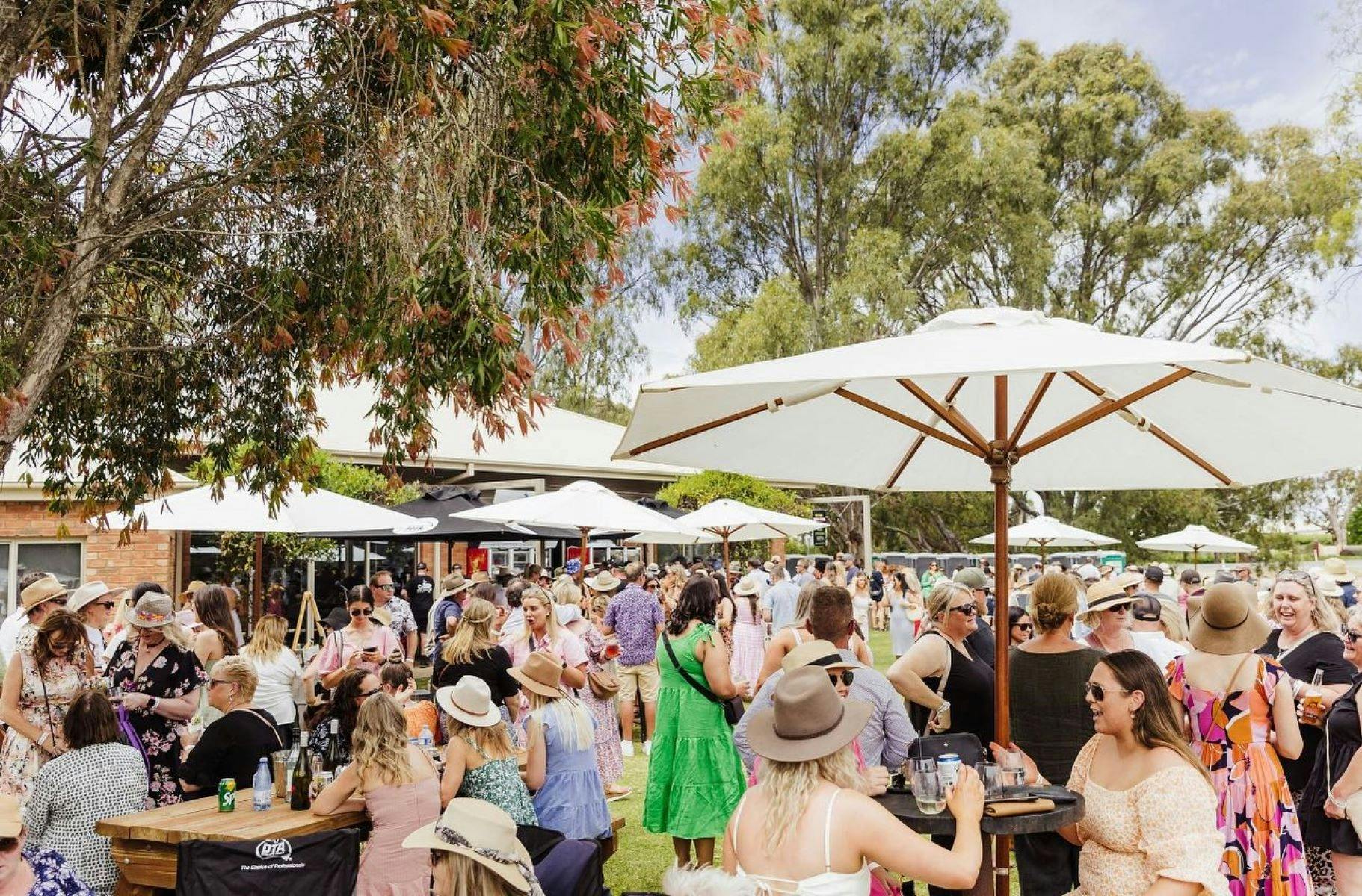 Pop and Pour Festival