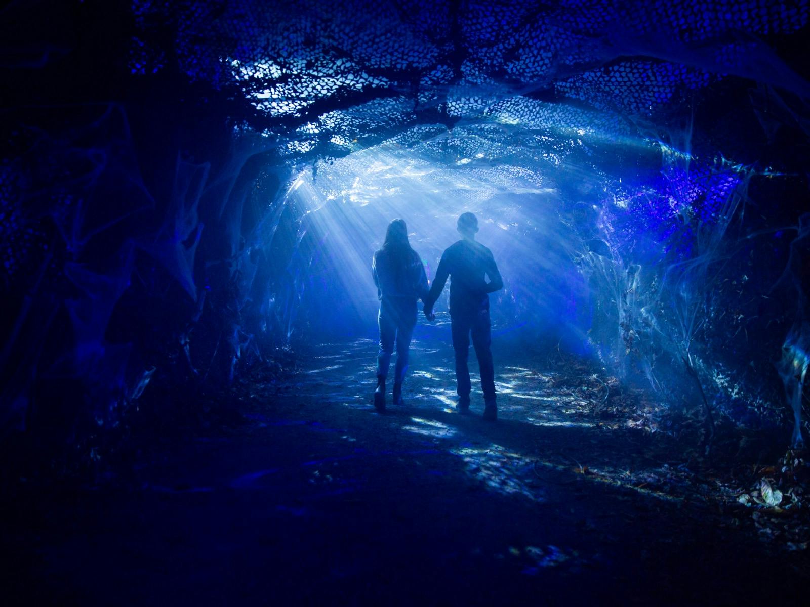 Harry Potter: A Forbidden Forest Experience
