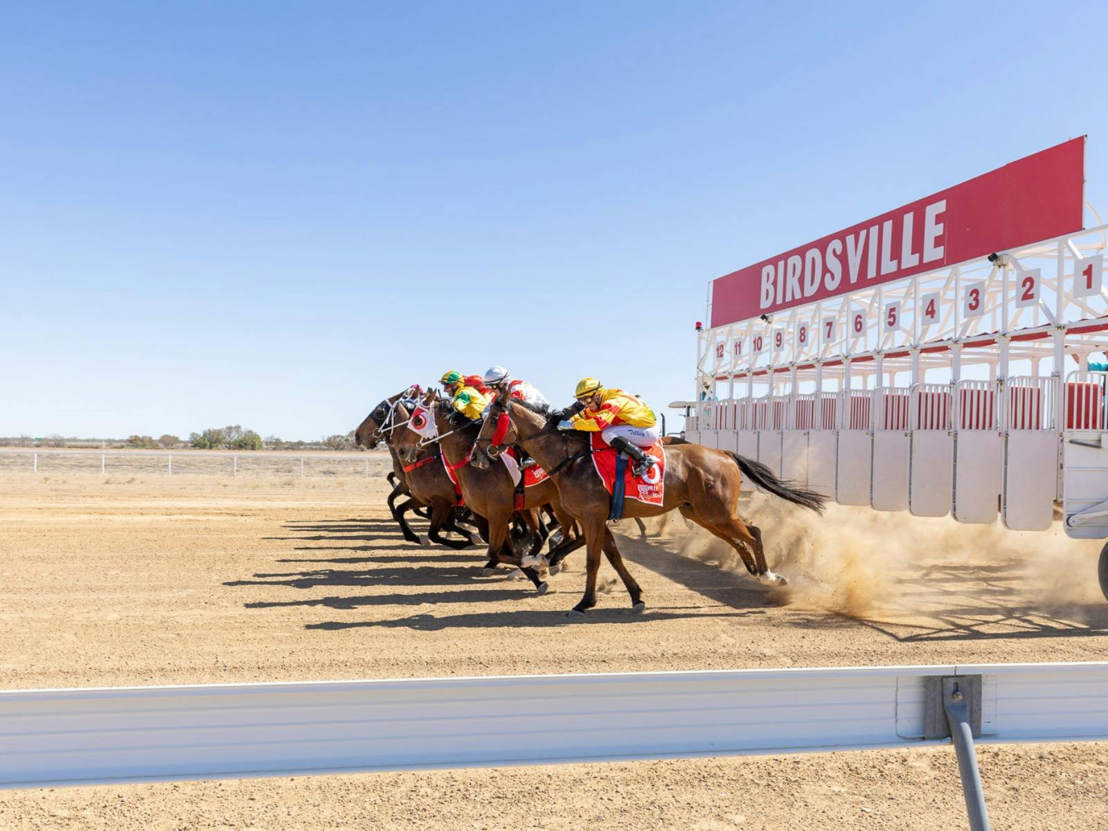Birdsville Races Starting Gates Birdsville Races Starting Gates
