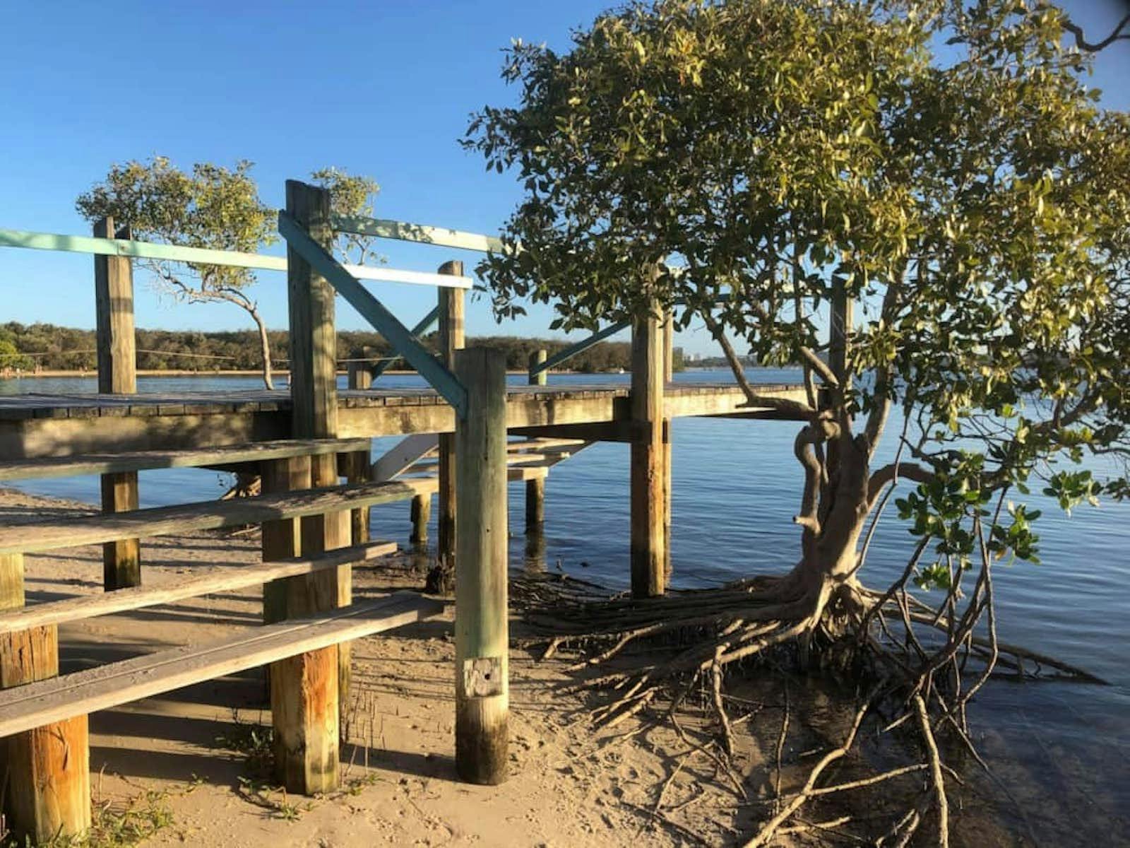 Boardwalk to Maroochy River Boardwalk to Maroochy River