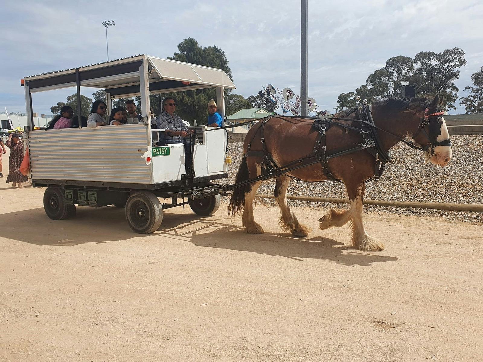 free horse and carriage ride