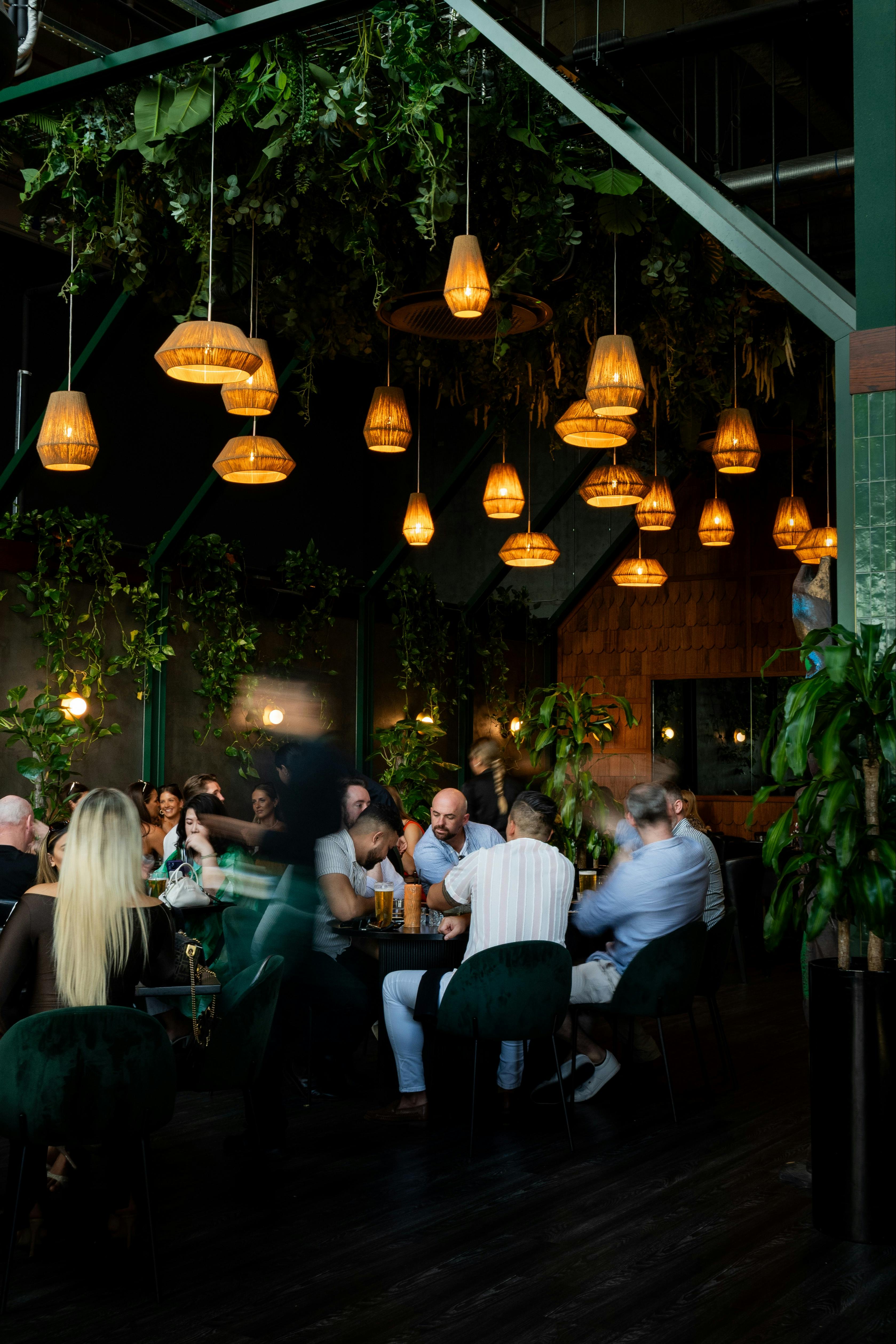 Soko's low lighting, indoor restaurant filled with greenery.