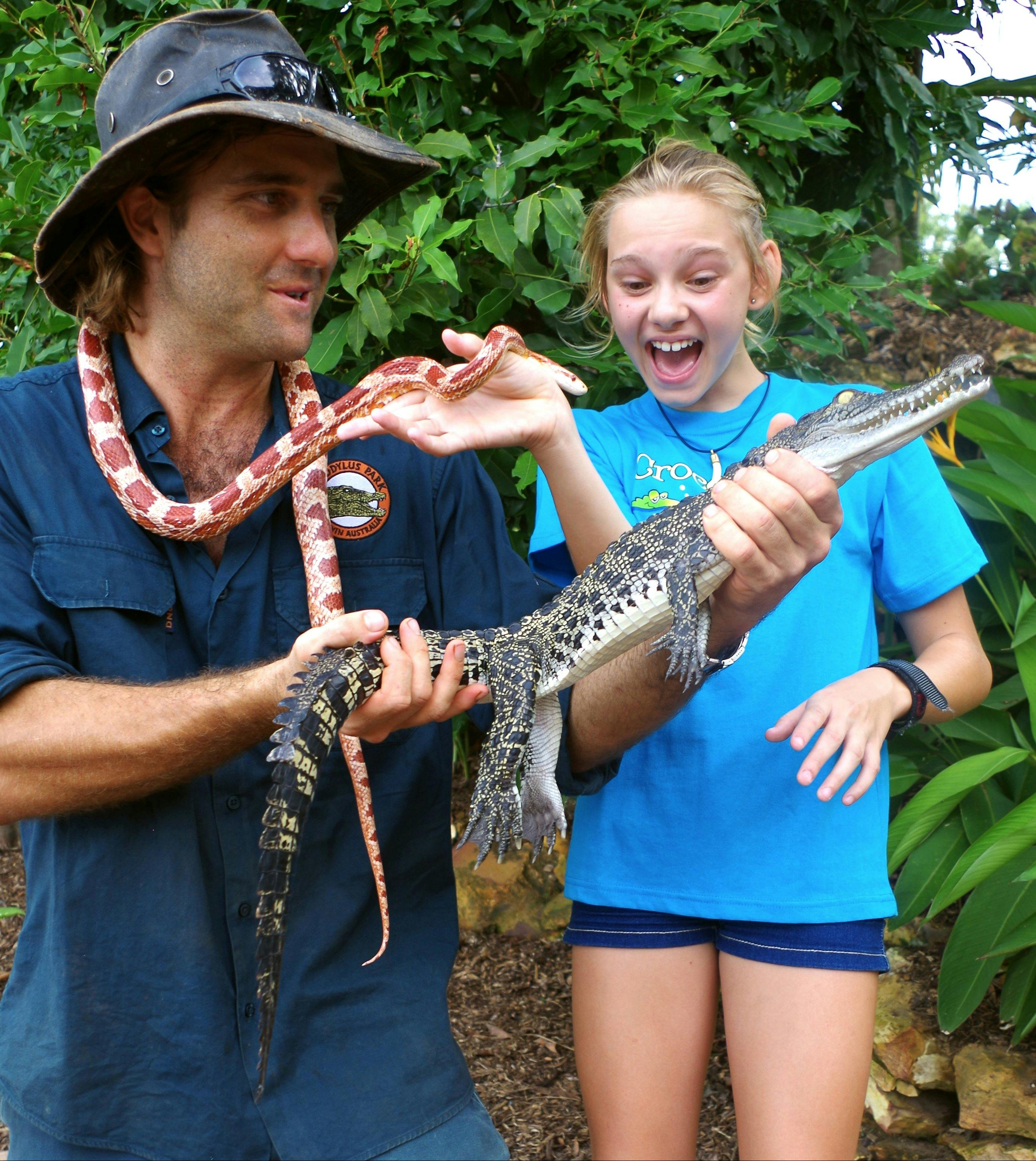Reptile handling | Crocodylus Park