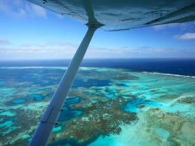 Abrolhos Islands Cessna wing photo