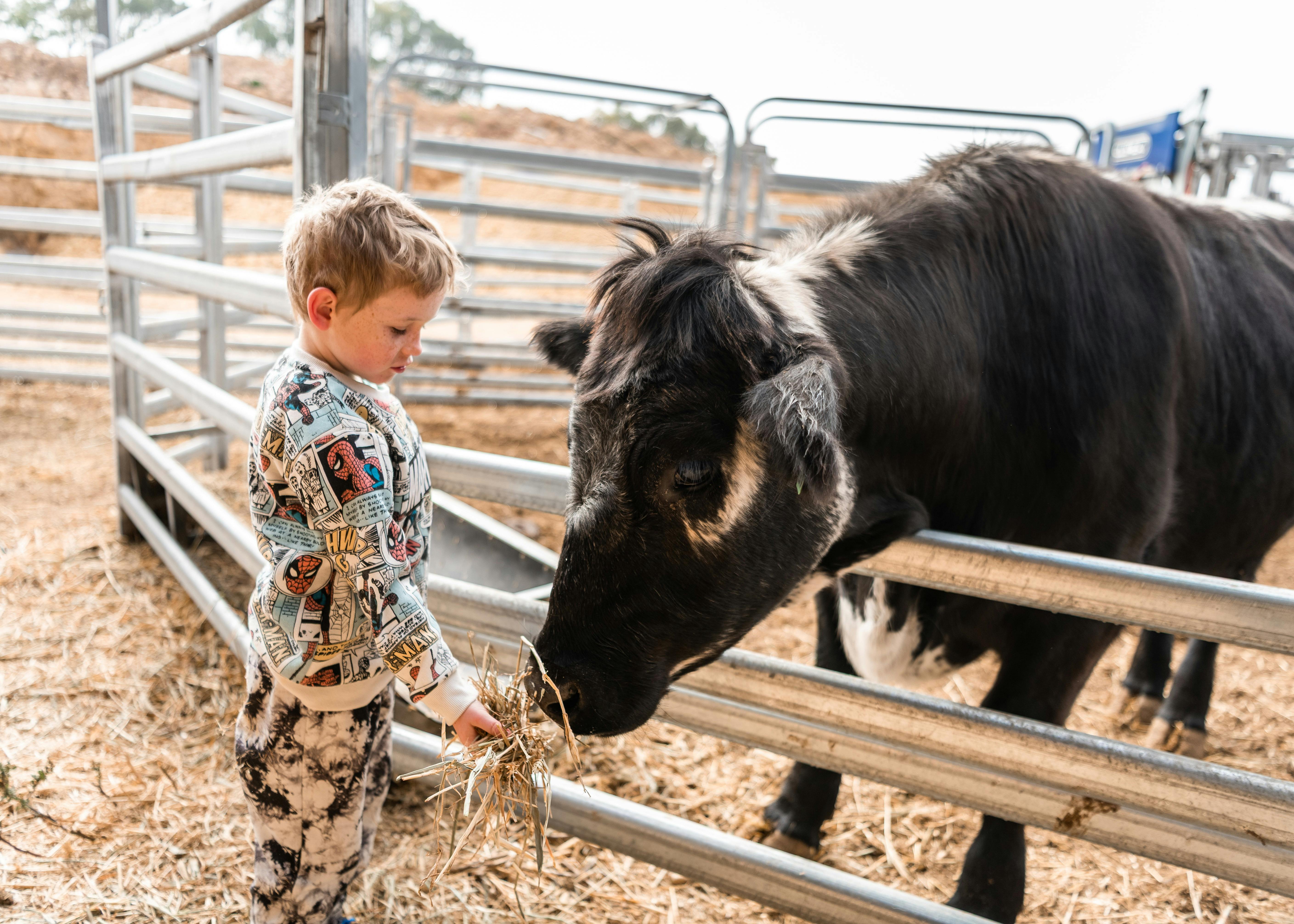 Elvis getting a feed
