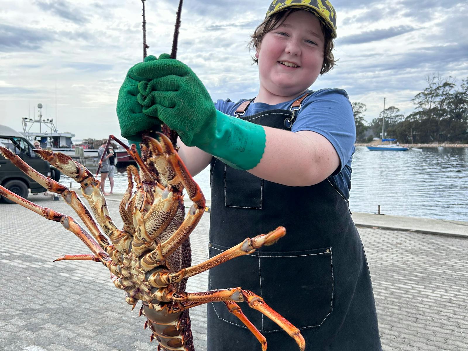 Large Southern Rock Lobster