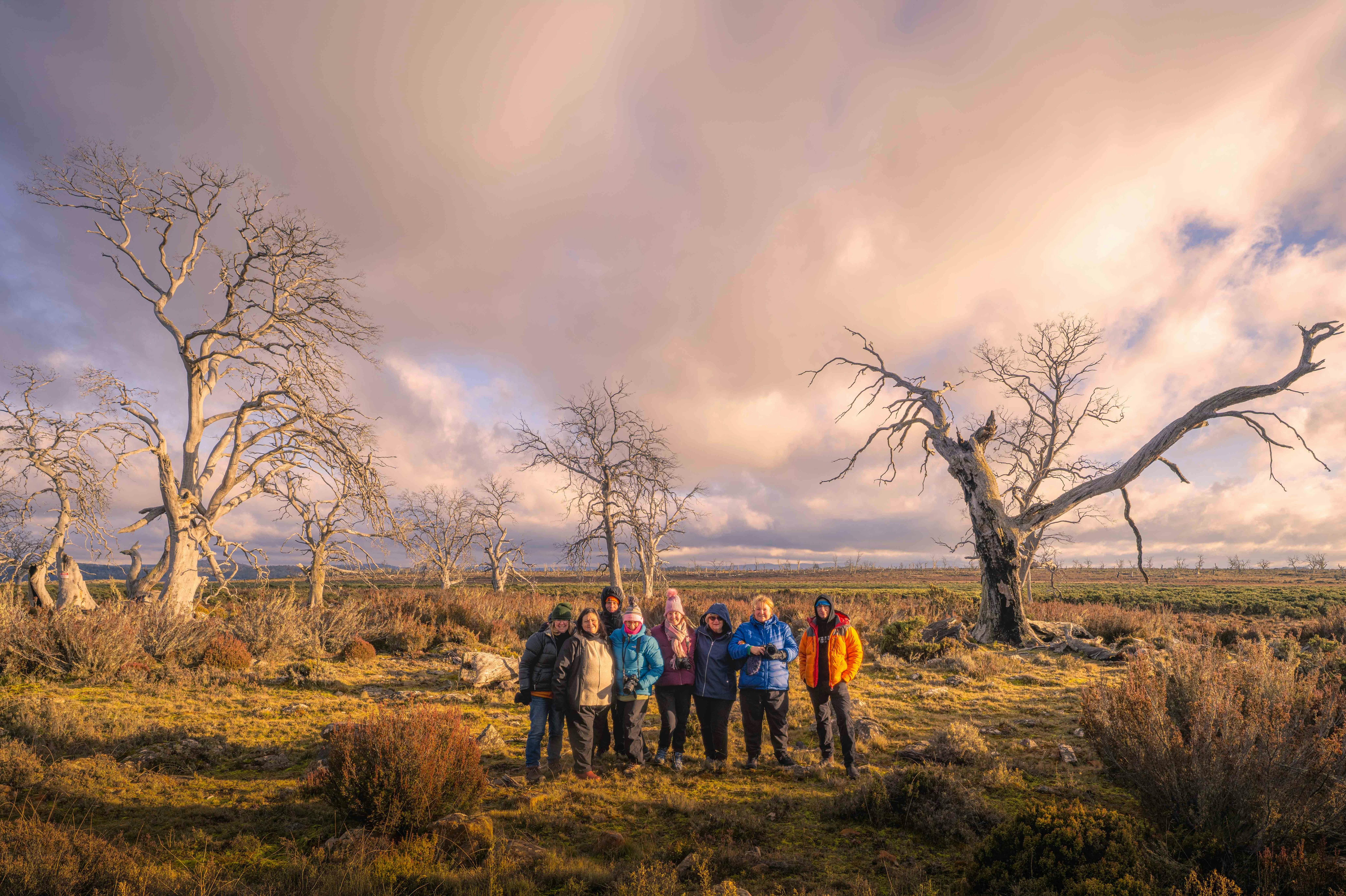a photography tour group at sunset in front of cider gums