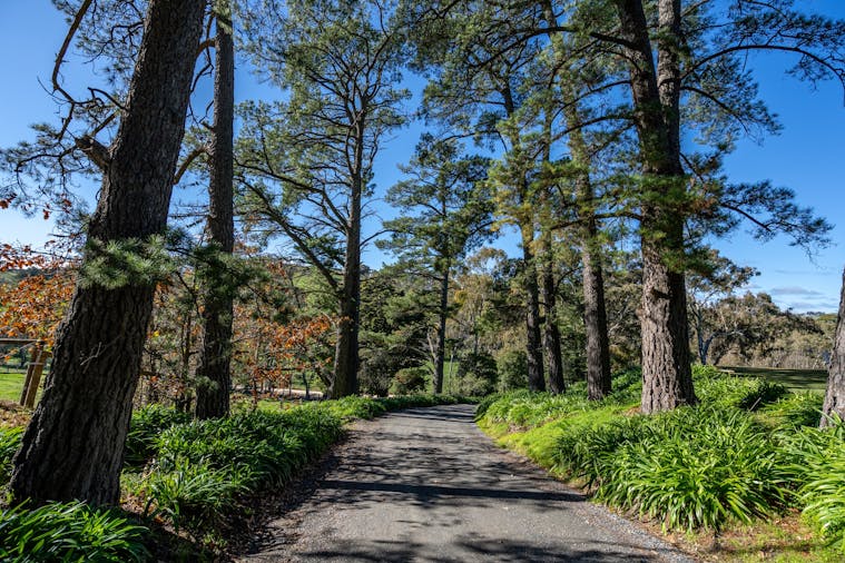 Combination Hills Ride