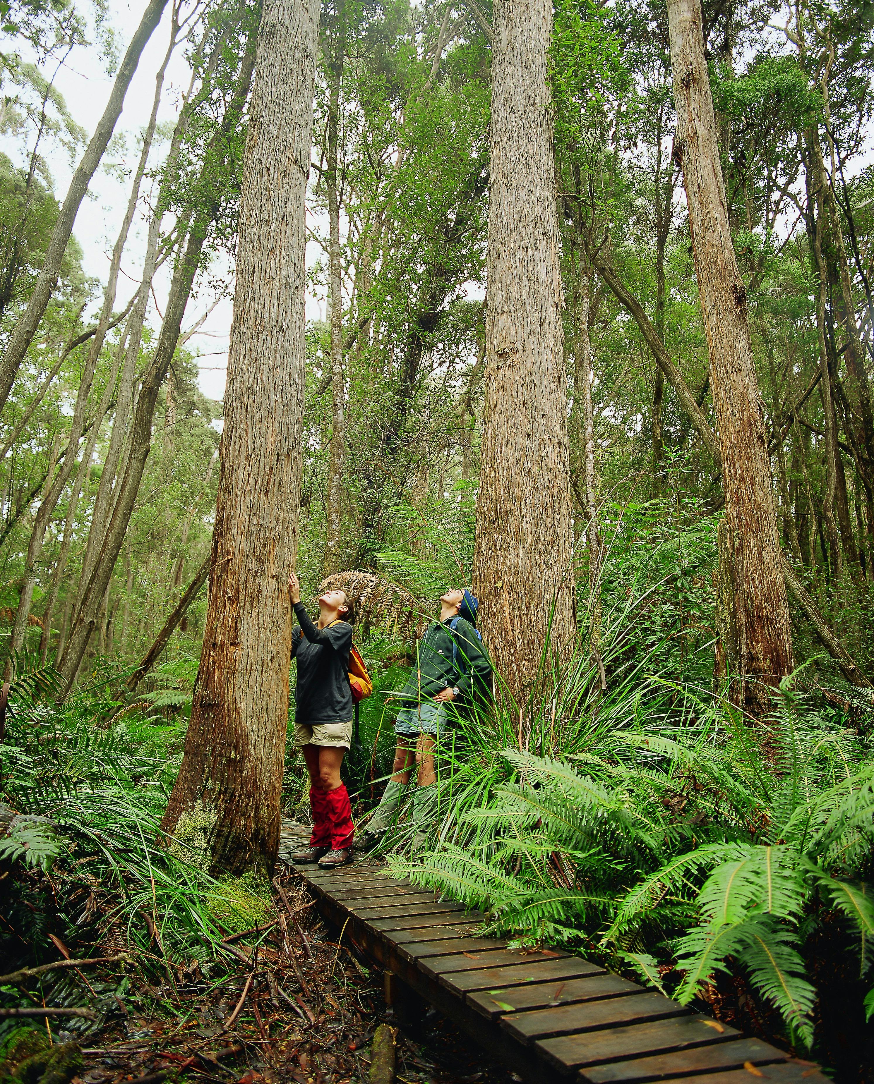 Rescherche Bay/Cockle Creek Campgrounds | All Accommodation | Discover ...