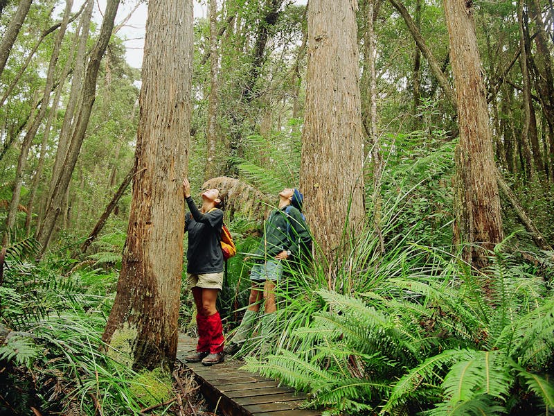 Cockle Creek Camping