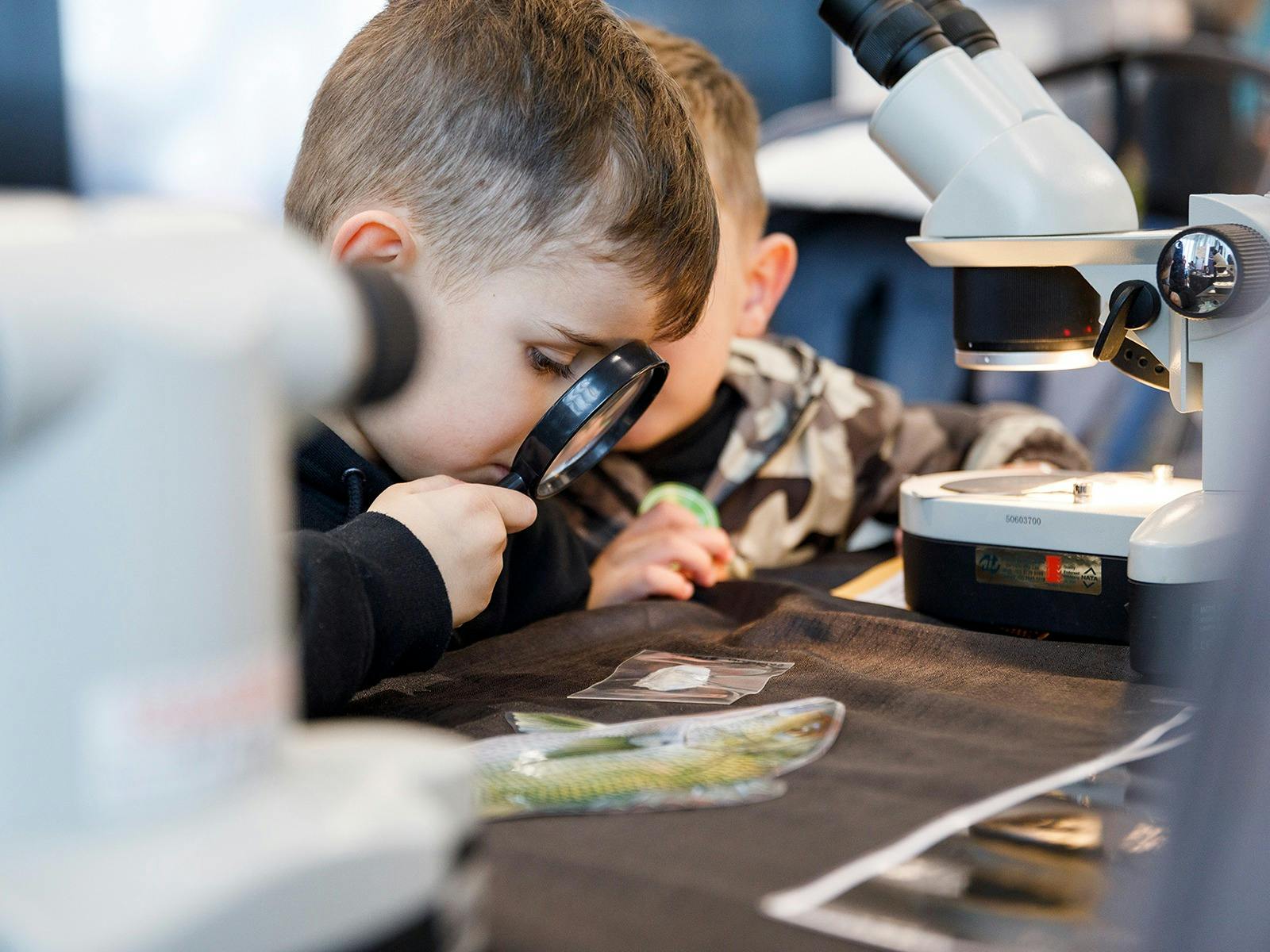 Ocean Explorers Activity Zone