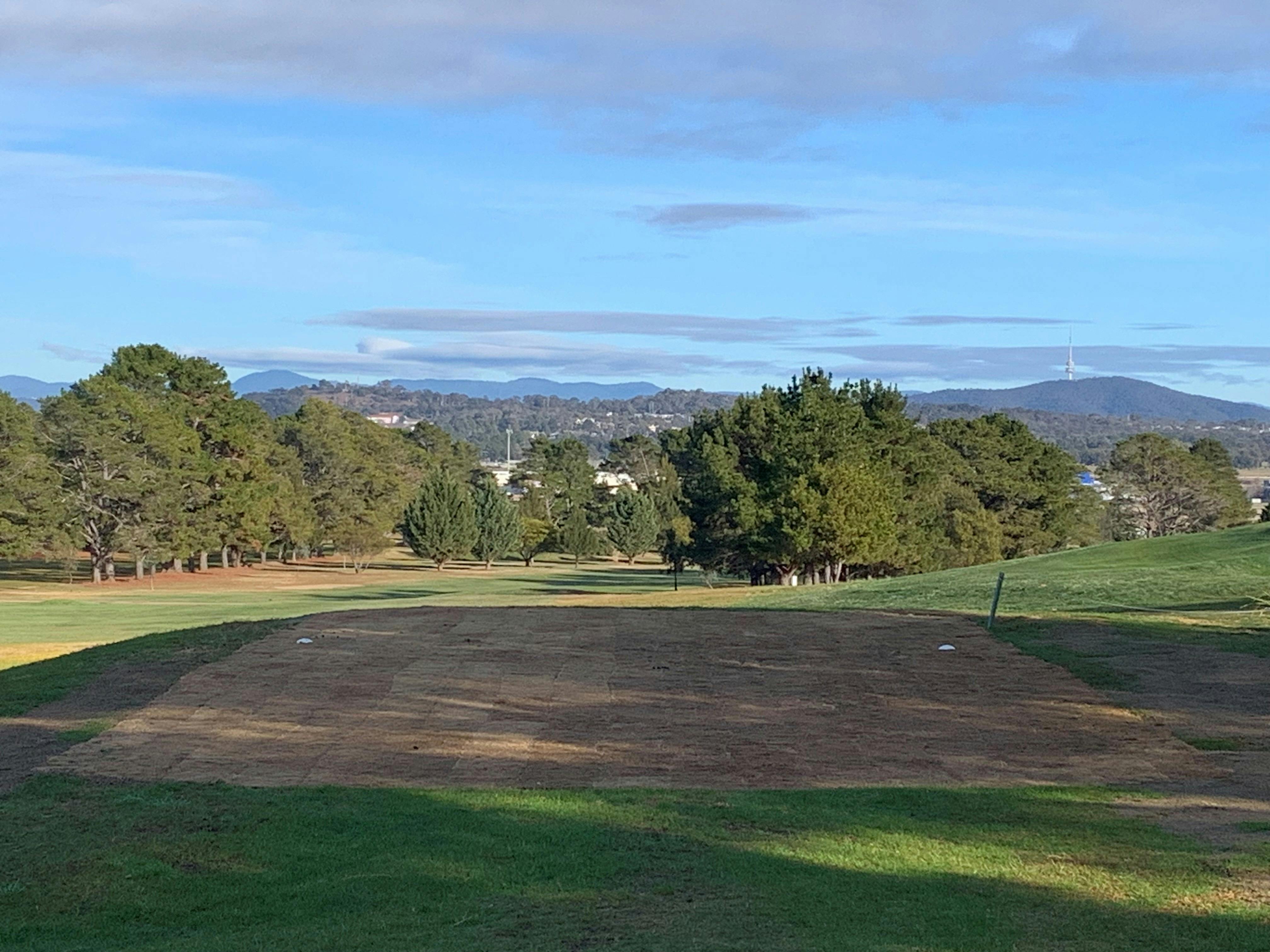 Looking across to Black Mountain and Telstra Tower