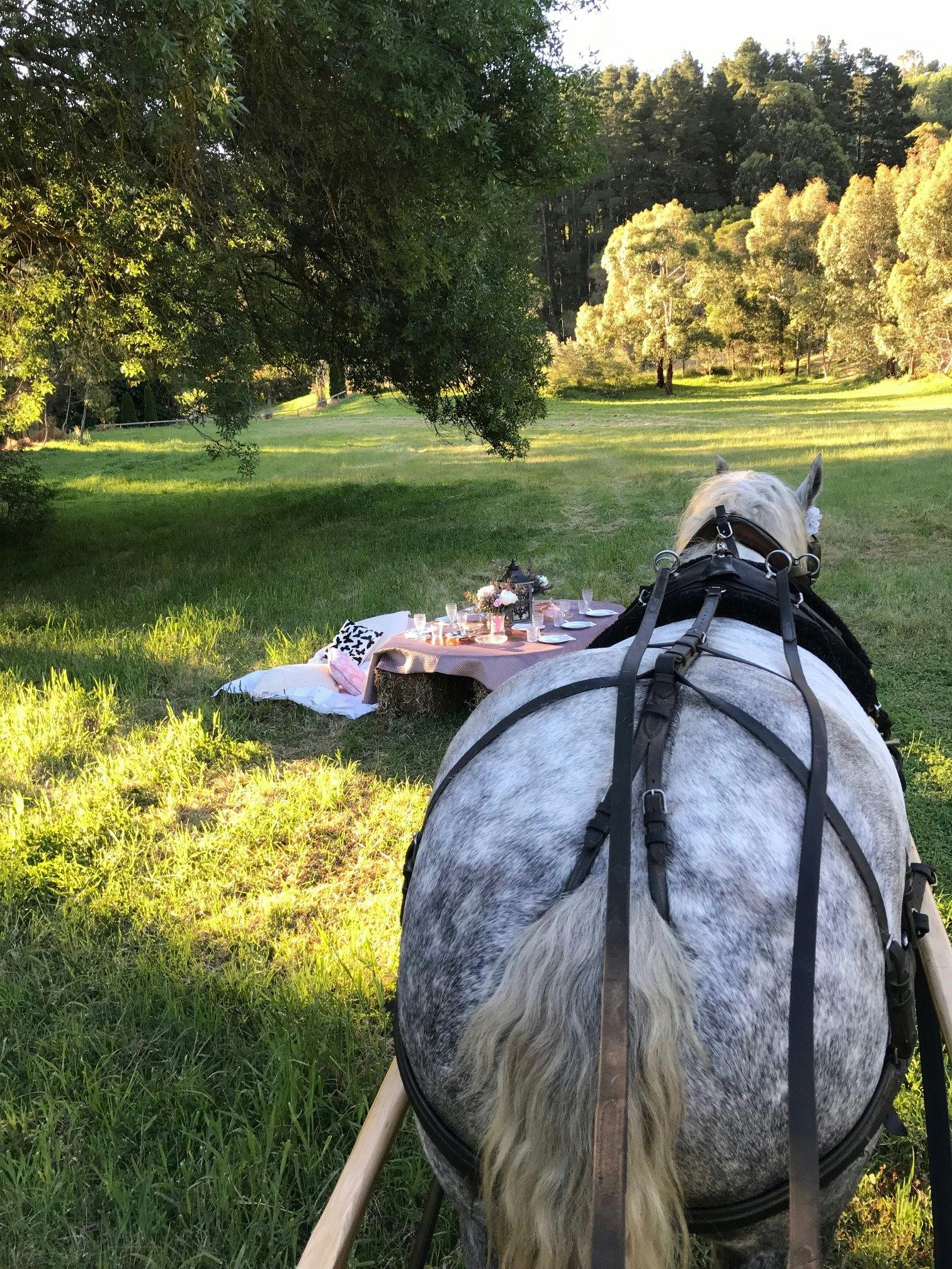 Montacute Valley Ride