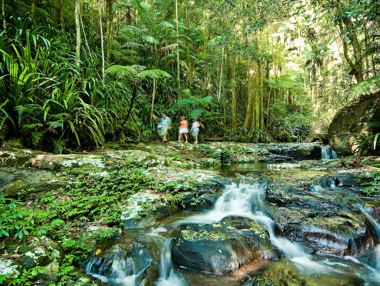The Channon, Protesters Falls, Nimbin and Mount Nardi