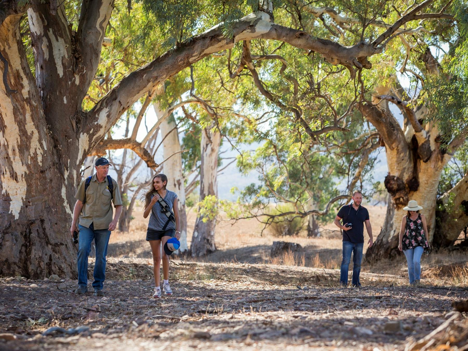 Three people on a guided walking trail with Rawnsley Park Station guides