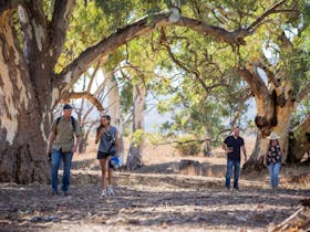 Three people on a guided walking trail with Rawnsley Park Station guides