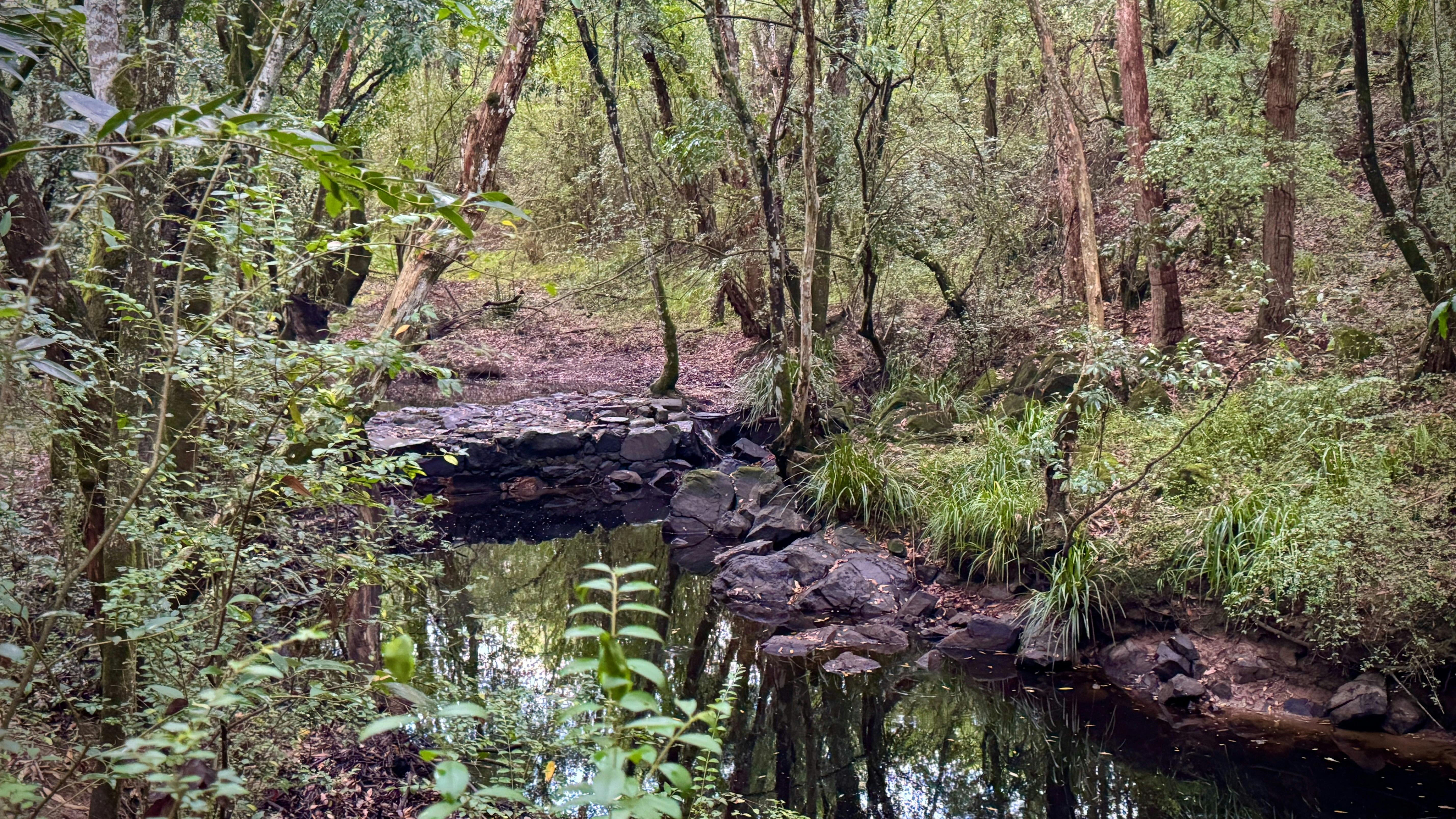 산책로를 따라 개울을 따라 있는 역사적인 다리
