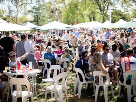 Gears and Beers Festival
