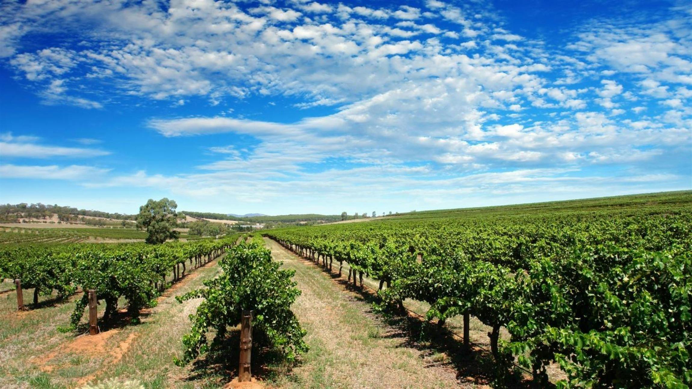 Private Barossa Valley
