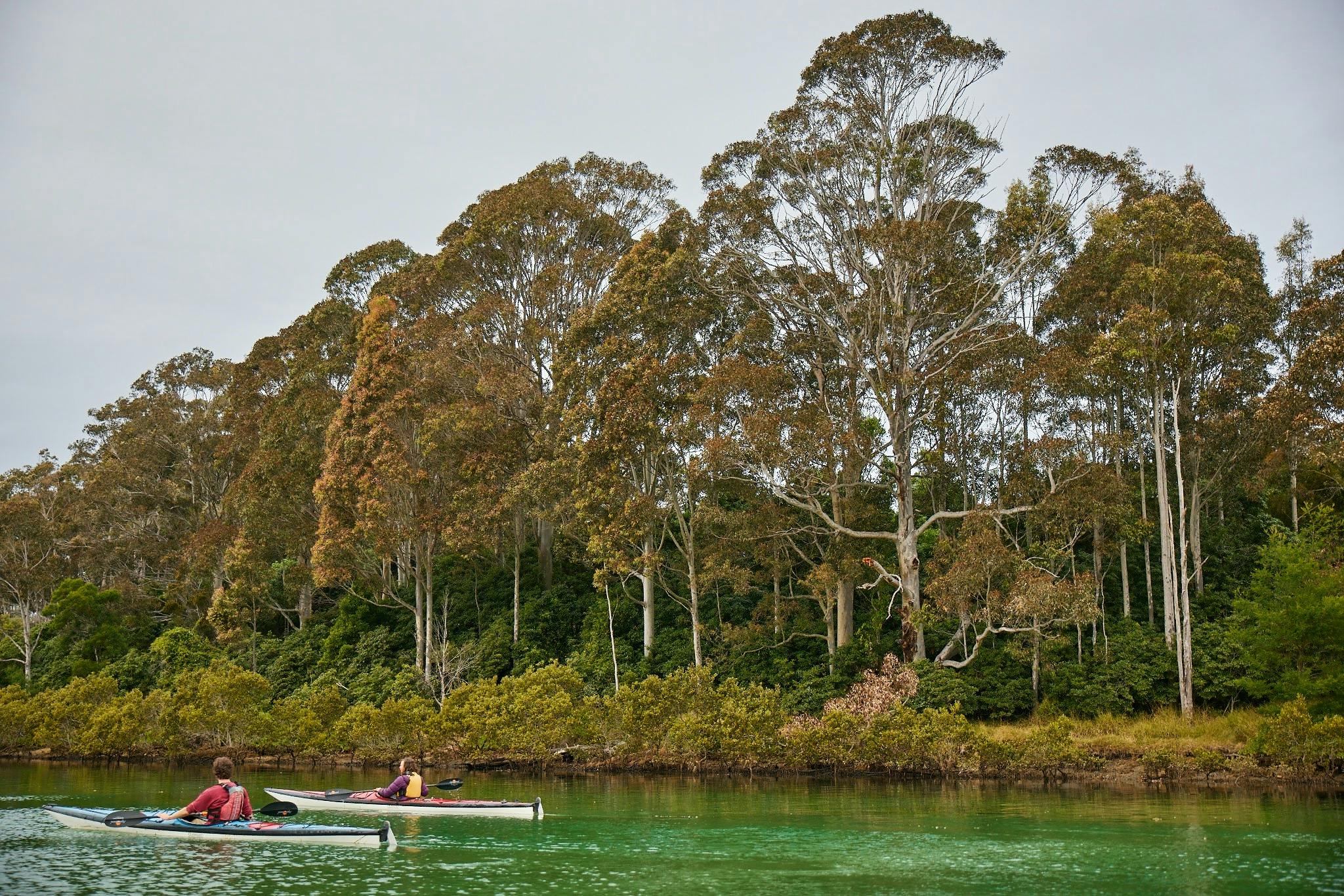 Bermagui River, Sapphire Coast NSW, fishing, kayaking, SUP, South Coast, estuary, kayak tour