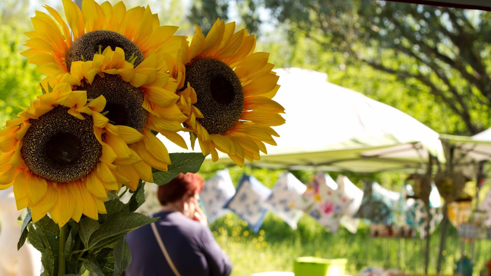 Blackville Arts and Market Day