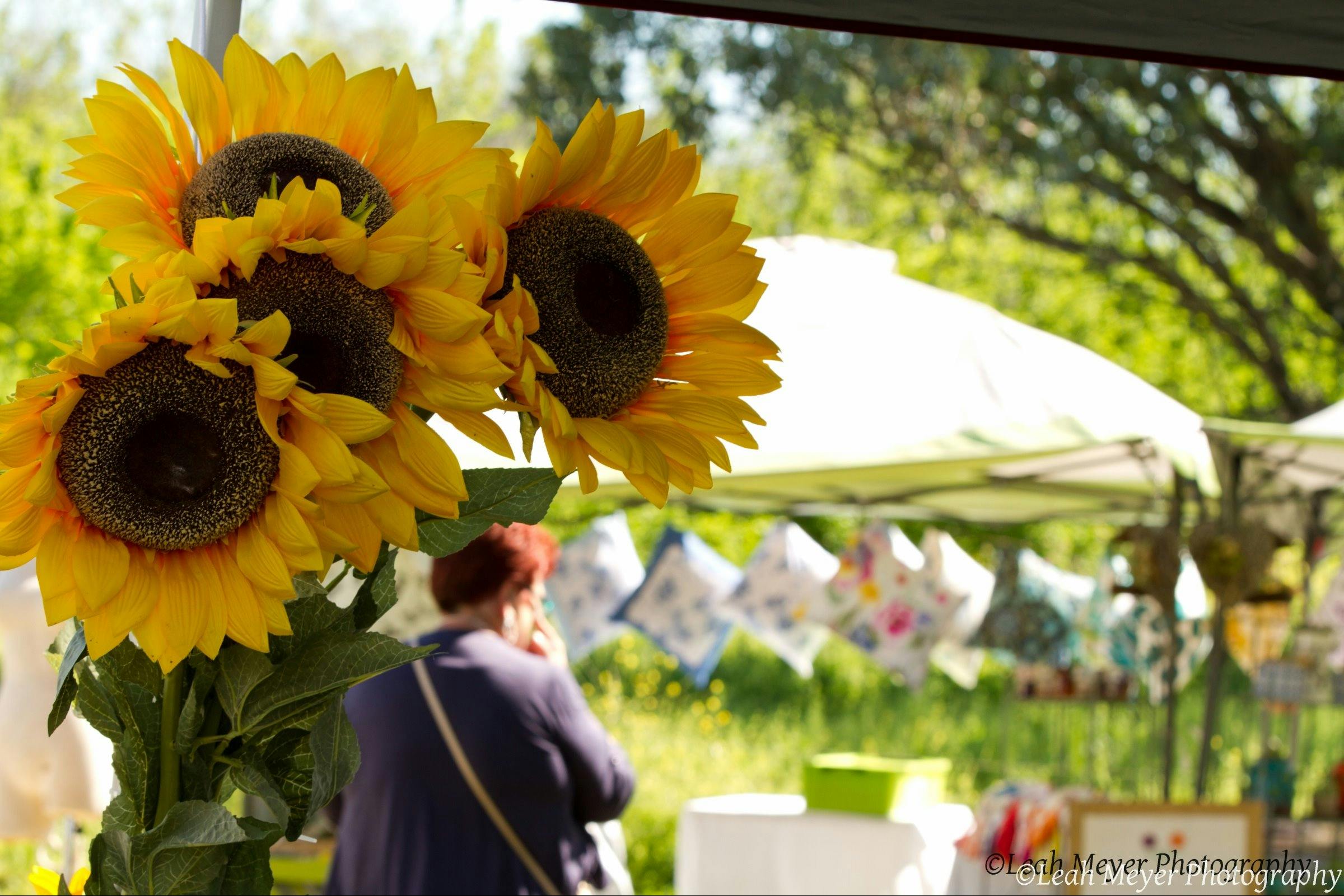 Blackville Arts And Market Day Quirindi Visitnsw Com