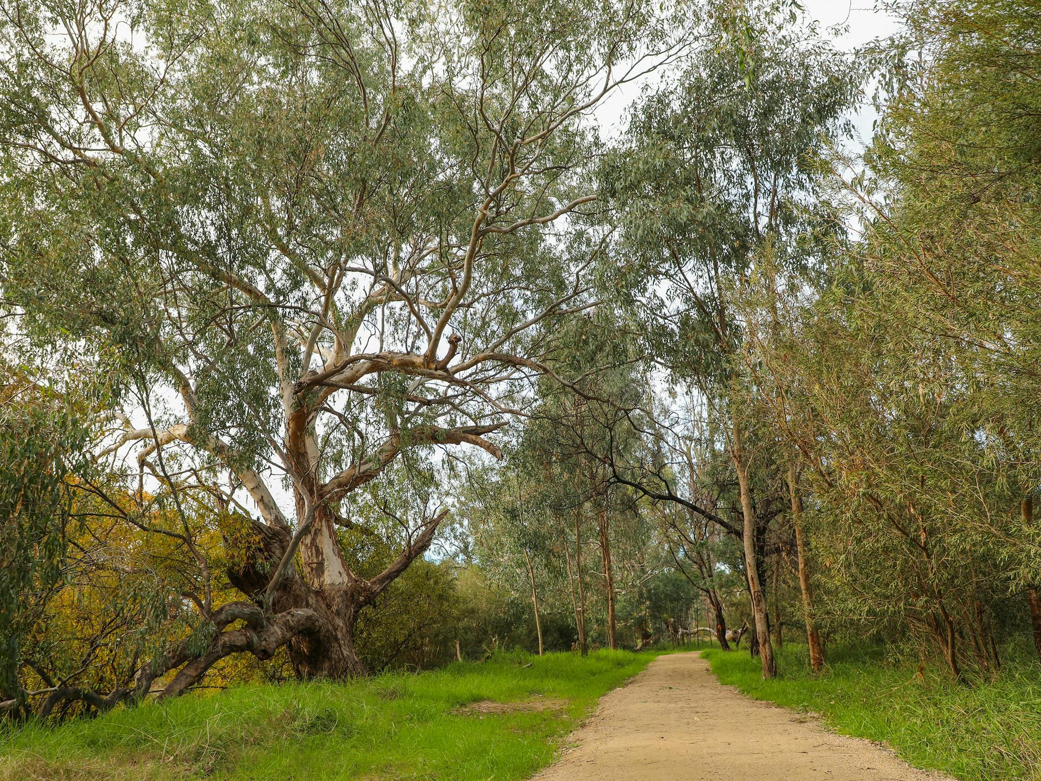Crossing Place Trail