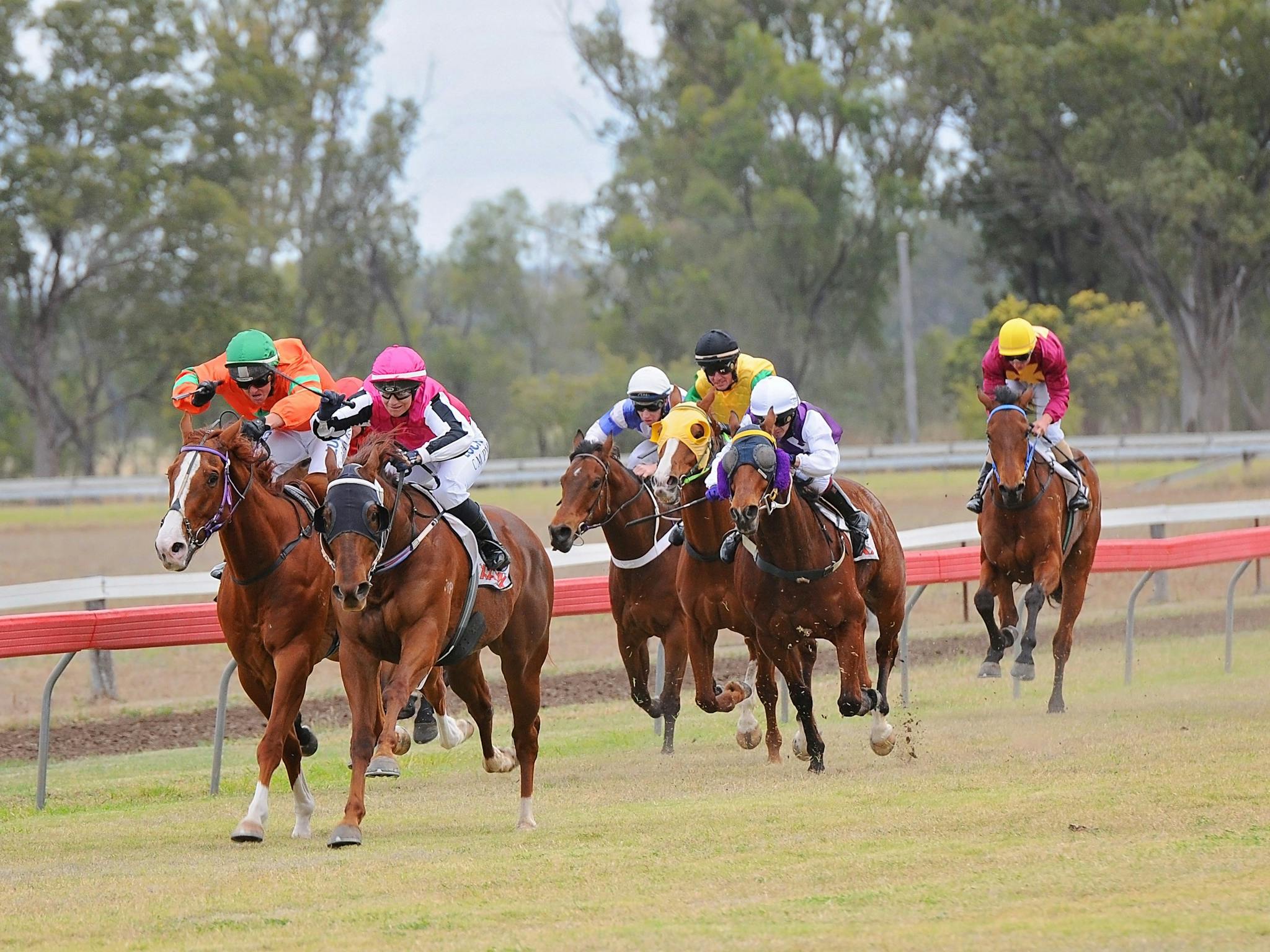 Thangool Races Event Queensland