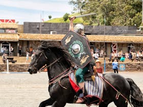 Victorian Medieval Festival at Kryal Castle