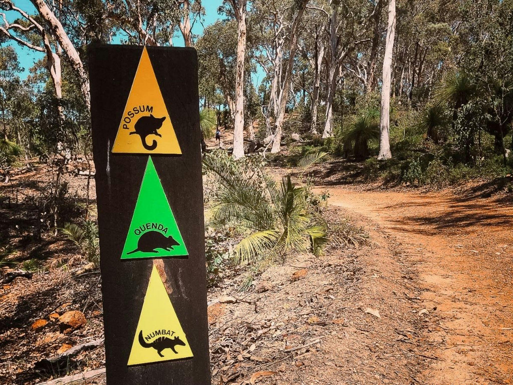 Paruna Wildlife Sanctuary Quenda Trail Guided Hike